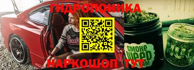 шишки Нальчик