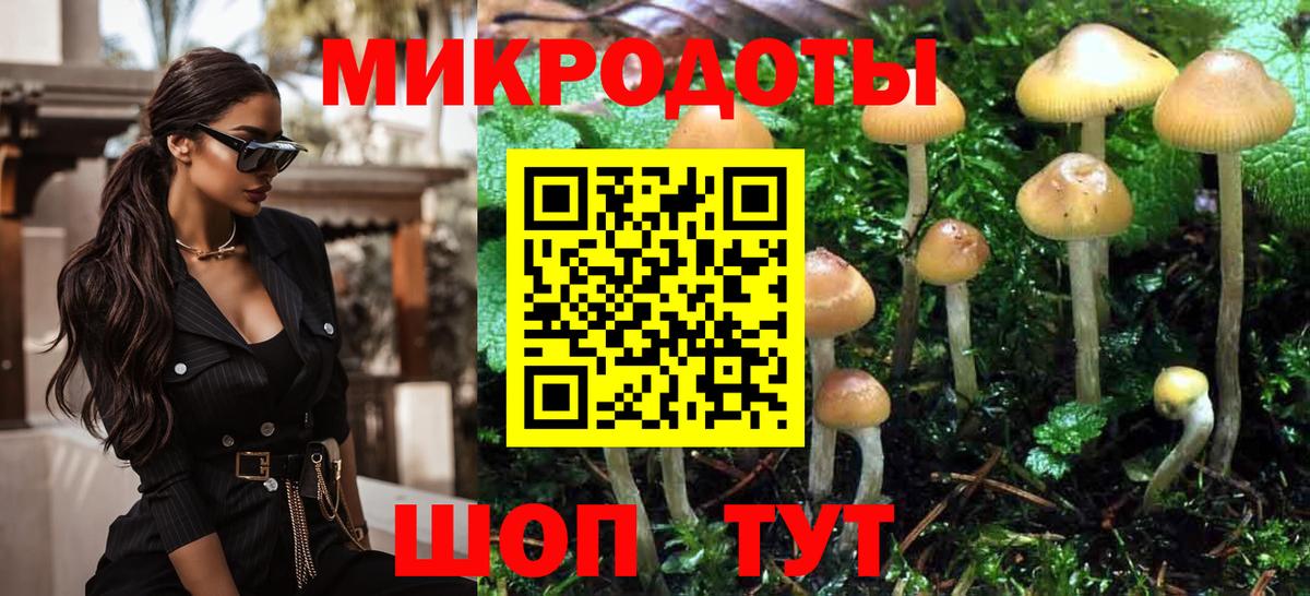 Галлюциногенные грибы Cubensis Партизанск